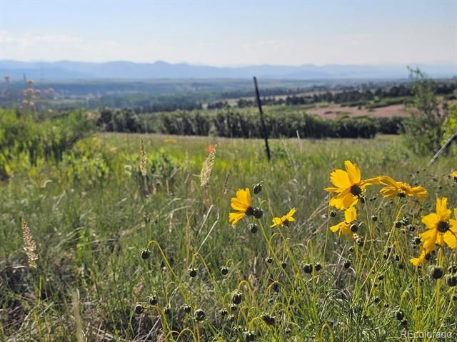 2937 Keep Drive, Sedalia, CO 80135
