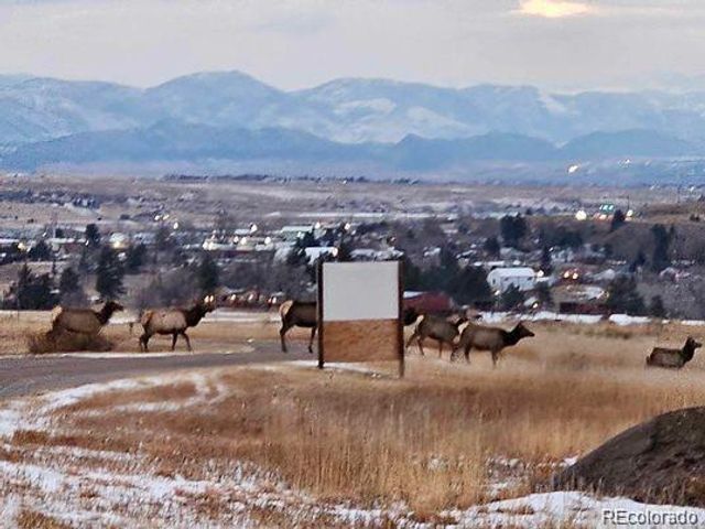 2937 Keep Drive, Sedalia, CO 80135
