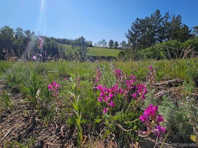 2937 Keep Drive, Sedalia, CO 80135