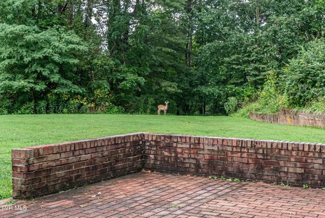 220 Mcguire Lane, Cedar Bluff, VA 24609