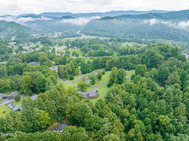 220 Mcguire Lane, Cedar Bluff, VA 24609