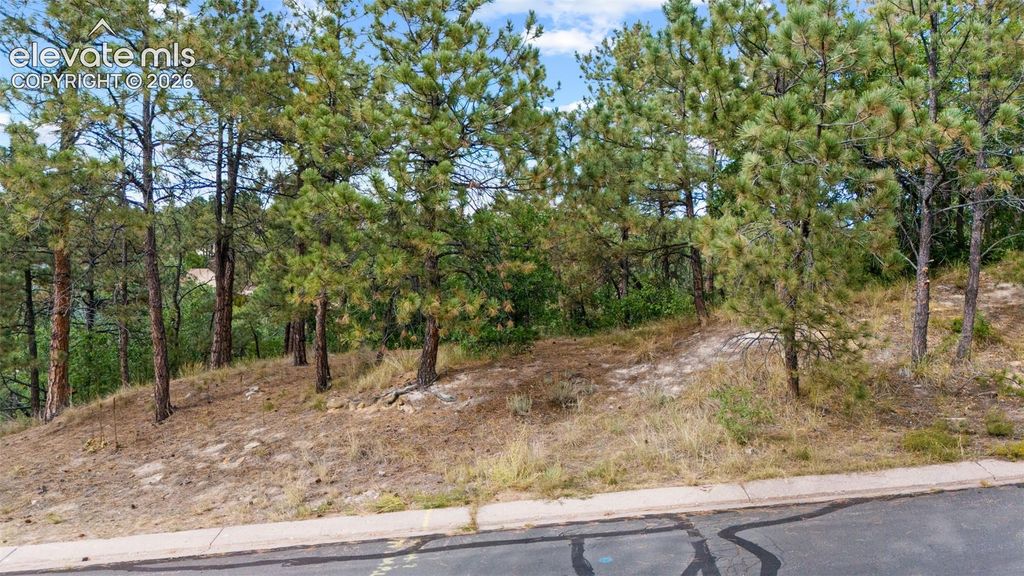 5831 Spurwood Court, Colorado Springs, CO 80918 — exterior