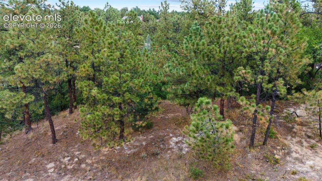5831 Spurwood Court, Colorado Springs, CO 80918 — photo 5