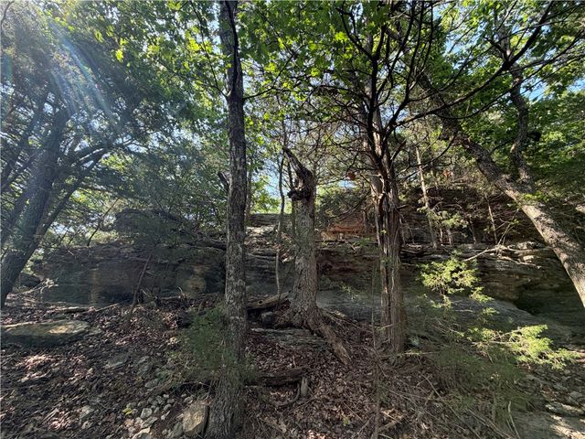 429 Point Mirage Road, Eureka Springs, AR 72631