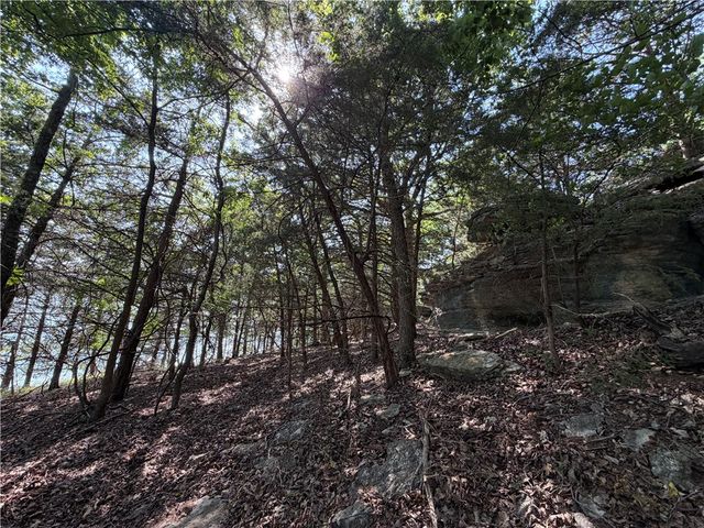 429 Point Mirage Road, Eureka Springs, AR 72631