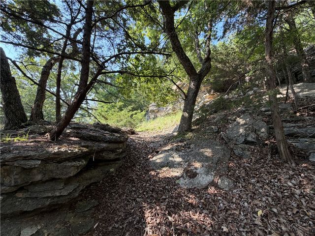 429 Point Mirage Road, Eureka Springs, AR 72631