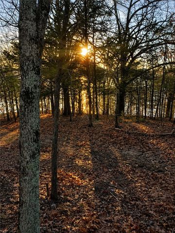 429 Point Mirage Road, Eureka Springs, AR 72631