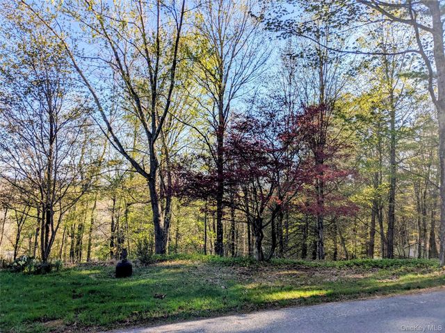 33 E Tusten Place, Smallwood, NY 12778
