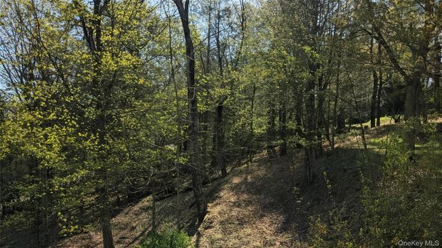 33 E Tusten Place, Smallwood, NY 12778