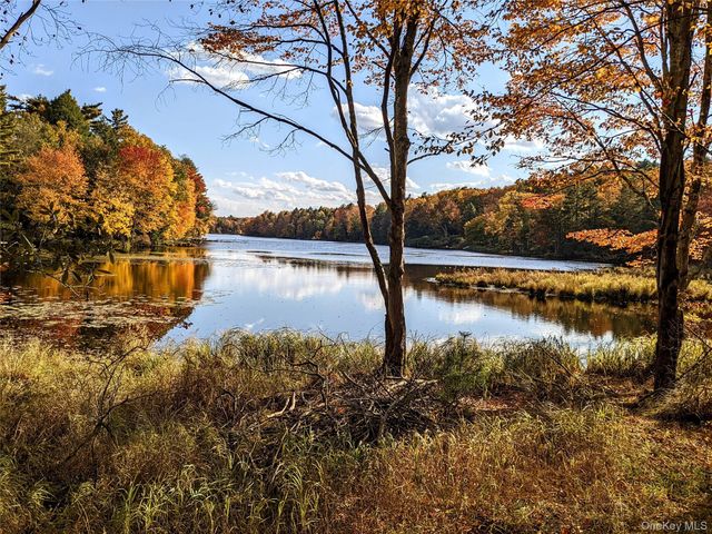 33 E Tusten Place, Smallwood, NY 12778