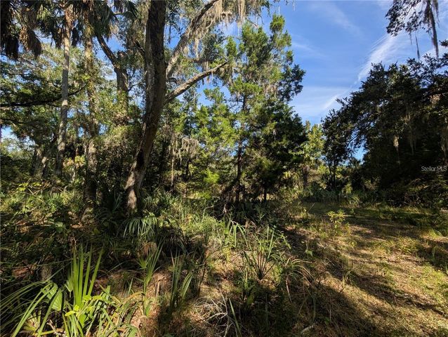 11009 N WITHLA BLUFF POINT, Inglis, FL 34449