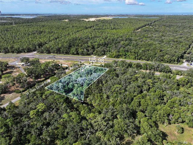 11009 N WITHLA BLUFF POINT, Inglis, FL 34449