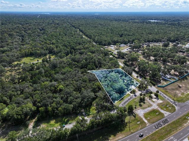 11009 N WITHLA BLUFF POINT, Inglis, FL 34449