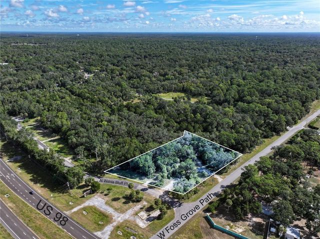11009 N WITHLA BLUFF POINT, Inglis, FL 34449