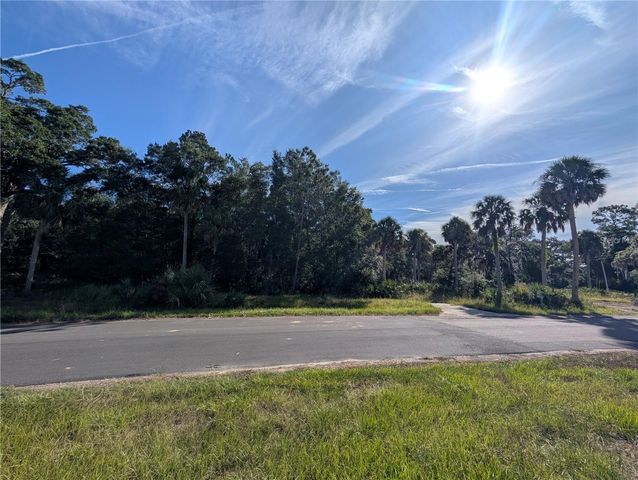 11009 N WITHLA BLUFF POINT, Inglis, FL 34449
