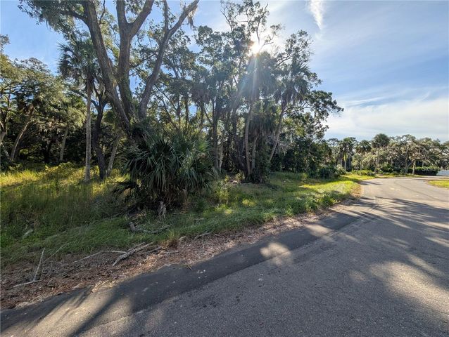 11009 N WITHLA BLUFF POINT, Inglis, FL 34449