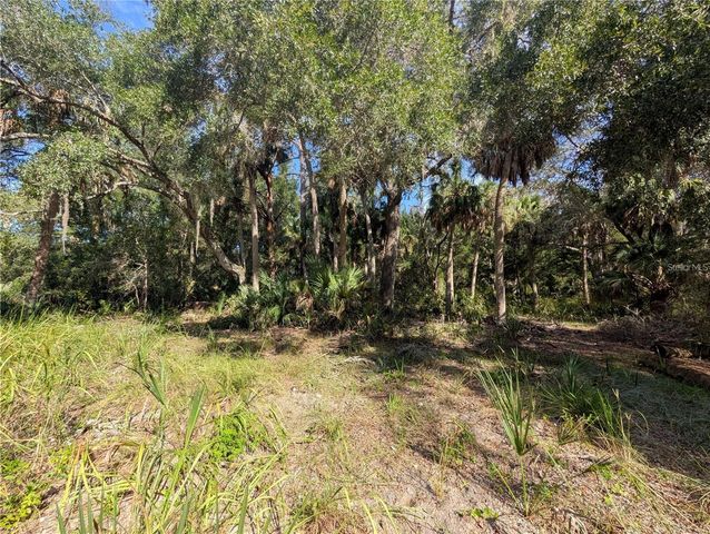 11009 N WITHLA BLUFF POINT, Inglis, FL 34449