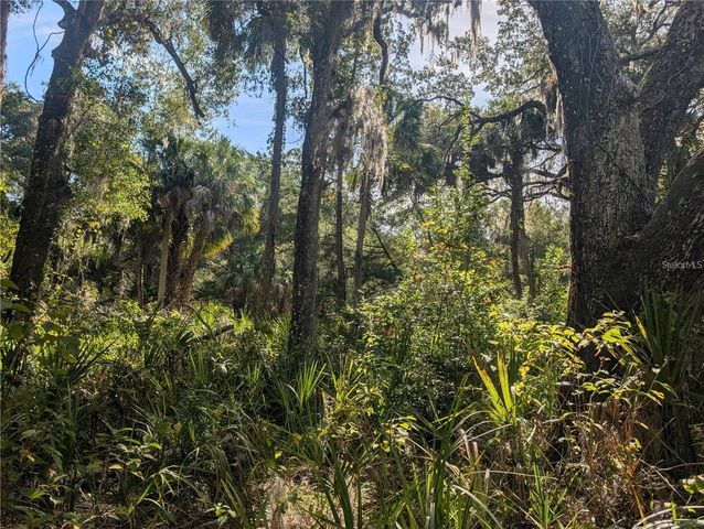 11009 N WITHLA BLUFF POINT, Inglis, FL 34449