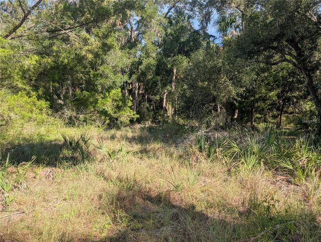 11009 N WITHLA BLUFF POINT, Inglis, FL 34449