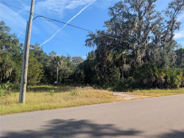11009 N WITHLA BLUFF POINT, Inglis, FL 34449