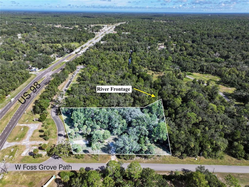 11009 N WITHLA BLUFF POINT, Inglis, FL 34449