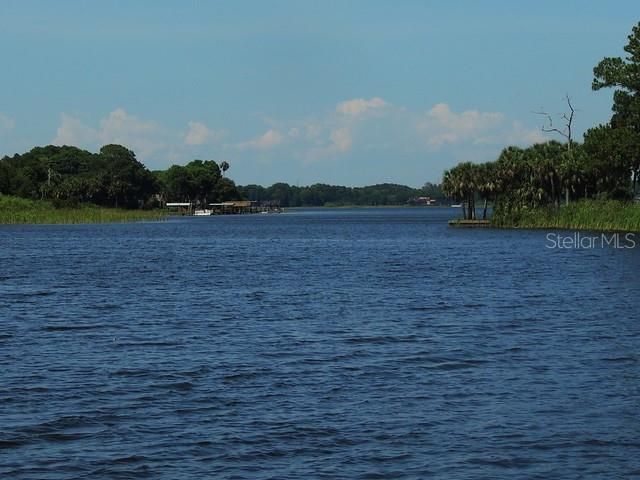 13 HAMILTON LANE, Palm Harbor, FL 34684