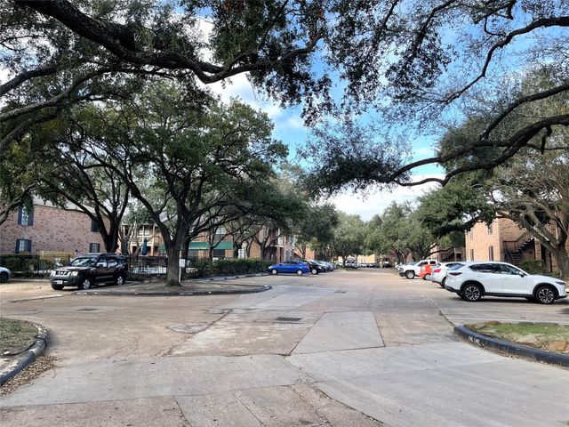 2255 Braeswood Park Drive 232, Houston, TX 77030