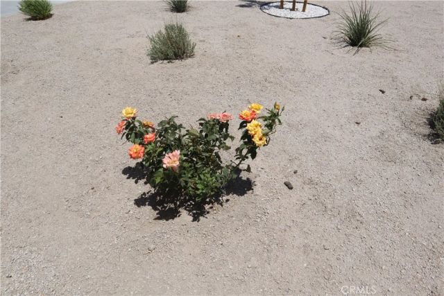 20349 90th Street, California City, CA 93505