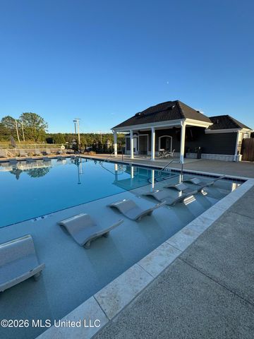 42 W Wolf Lane, Byhalia, MS 38611