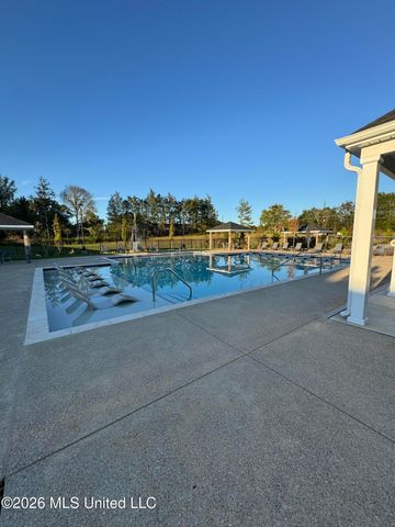 42 W Wolf Lane, Byhalia, MS 38611