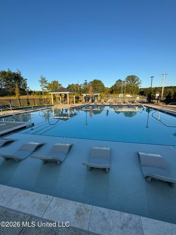 42 W Wolf Lane, Byhalia, MS 38611