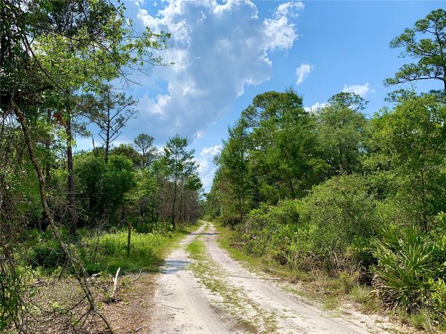 41722 POINCIANA STREET, Eustis, FL 32736