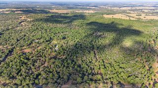 360 Copeland Hill RD 3-B, Smithville, TX 78957