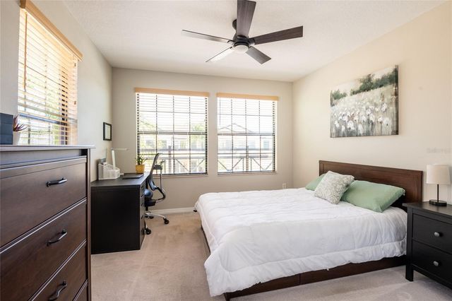 11648 CROWNED SPARROW LANE, Tampa, FL 33626