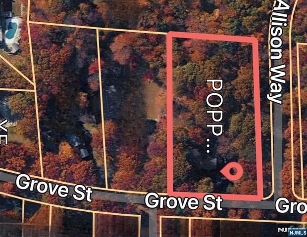 157 Grove Street, Ramsey, NJ 07446