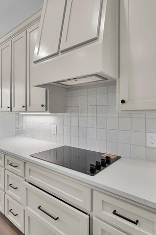 10017 Braided Briar Drive, Waco, TX 76712