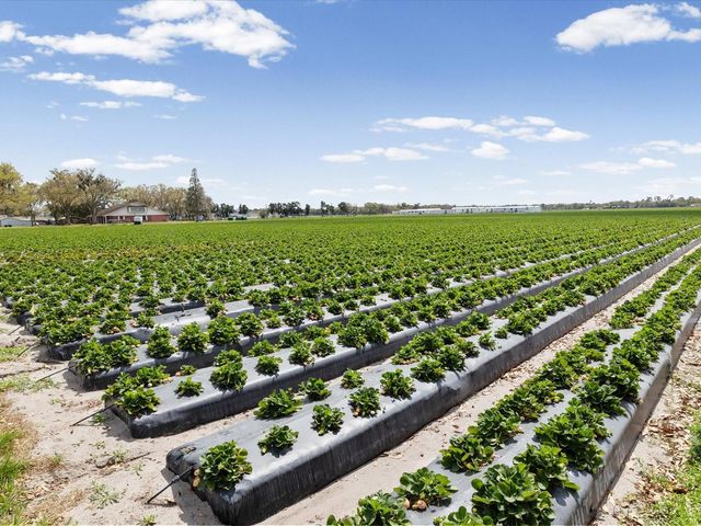 3135 S NORTHVIEW ROAD, Plant City, FL 33566