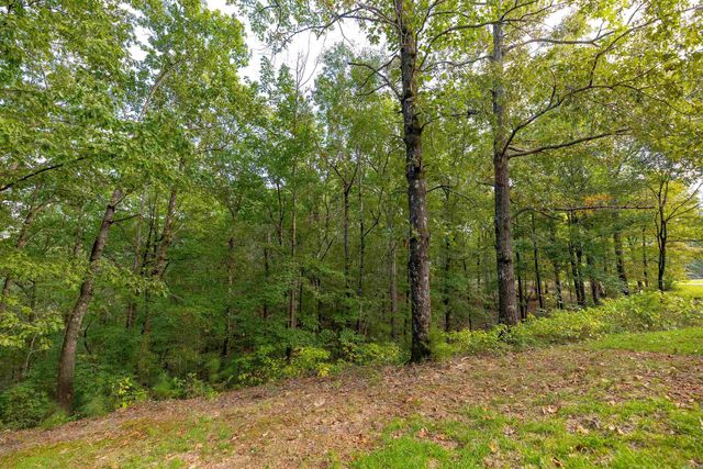 1315 Ridgeview Rd, Camden, AR 71701