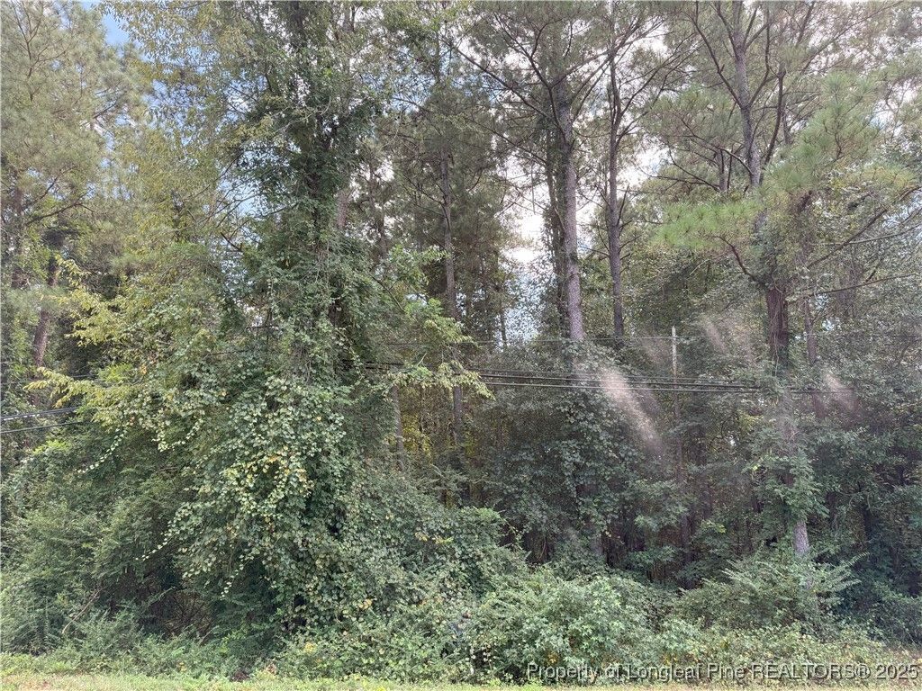 Lot 2 E Williams Street, Autryville, NC 28318 — exterior