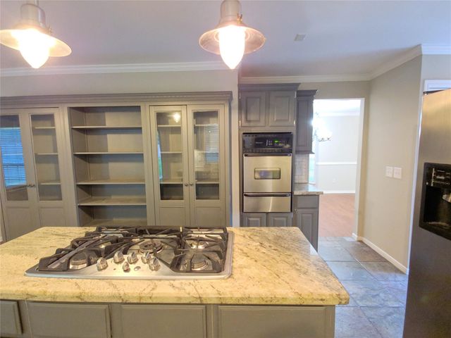 15 Thorn Berry Place, Spring, TX 77381