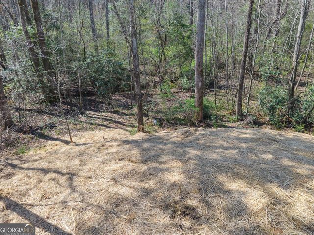 769 Dawn Place, Alto, GA 30510