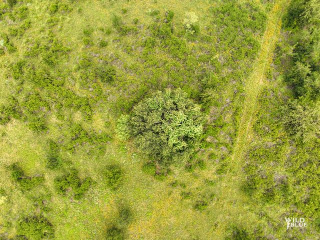 Lot 26 New Hope Road Road, Santo, TX 76484