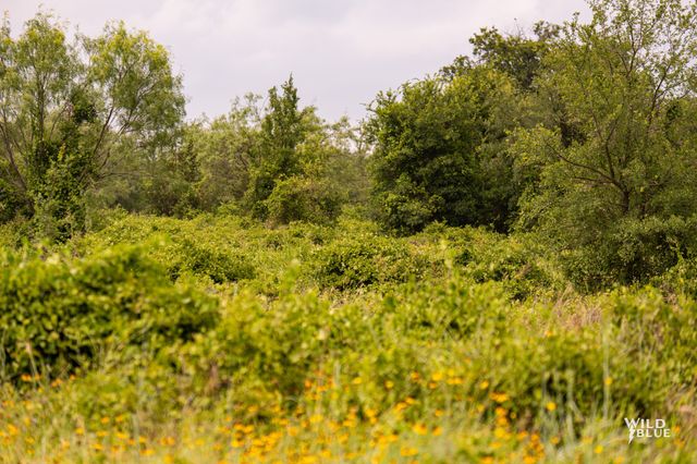 Lot 26 New Hope Road Road, Santo, TX 76484