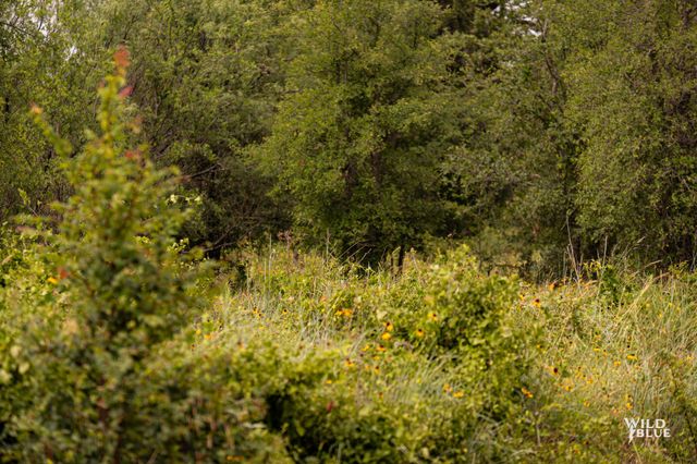 Lot 26 New Hope Road Road, Santo, TX 76484