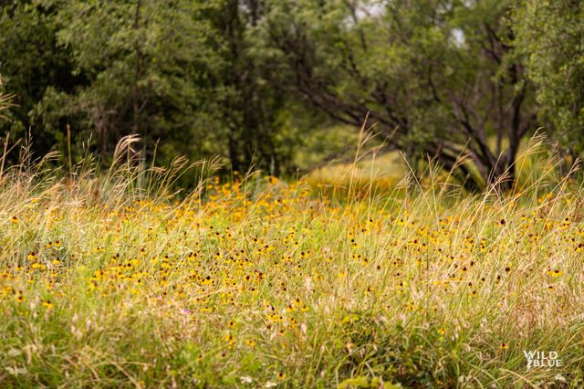 Lot 26 New Hope Road Road, Santo, TX 76484