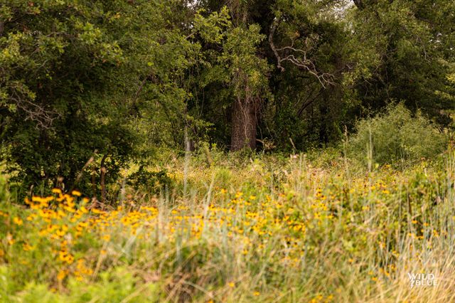 Lot 26 New Hope Road Road, Santo, TX 76484