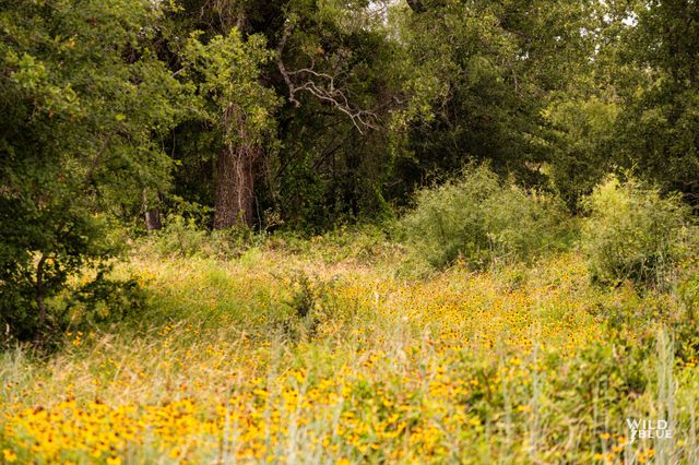 Lot 26 New Hope Road Road, Santo, TX 76484