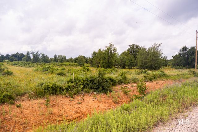 Lot 26 New Hope Road Road, Santo, TX 76484