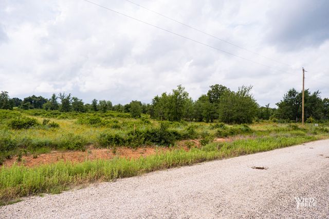 Lot 26 New Hope Road Road, Santo, TX 76484