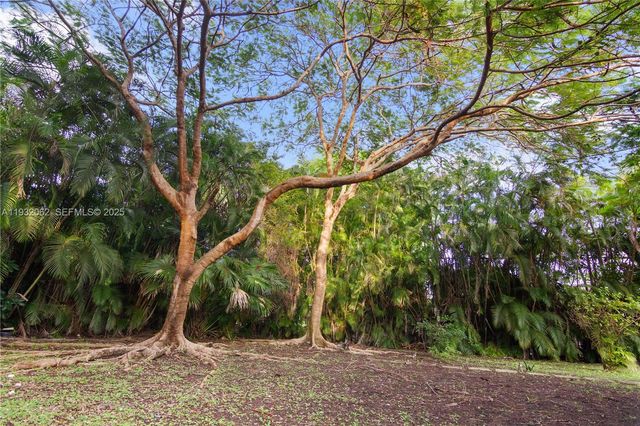 11825 S Mitchell Manor Cir, Pinecrest, FL 33156